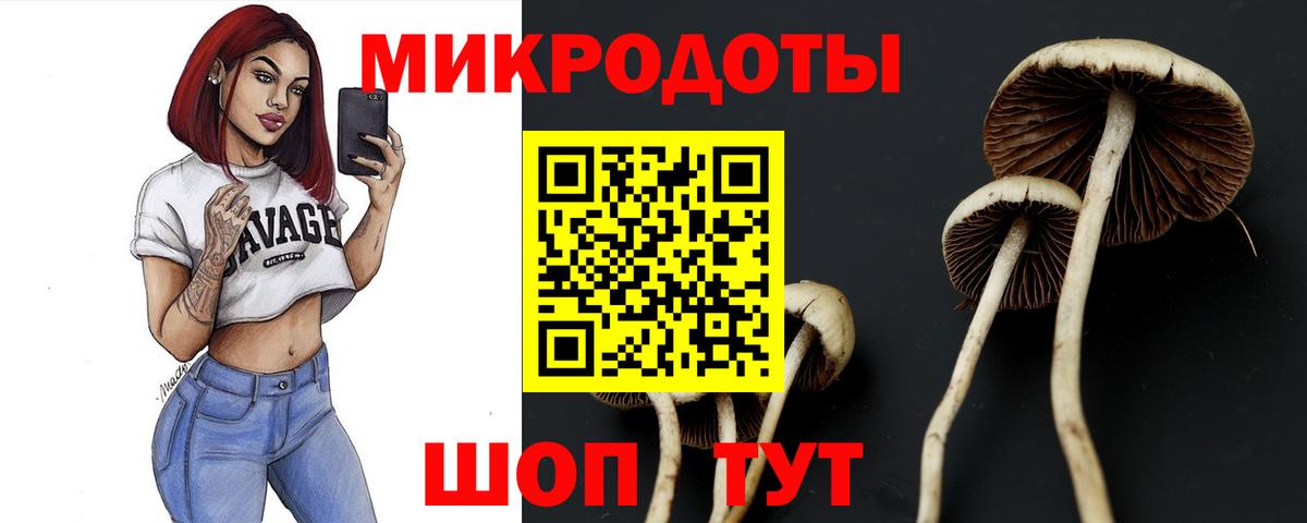 Качканар  Псилоцибиновые грибы GOLDEN TEACHER  Вход с VPN  Галлюциногенные грибы ЛСД 